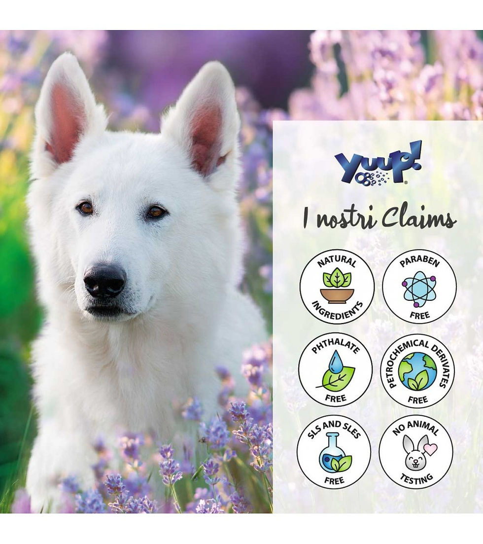 Miniatura: Shampoo Secco 150ml