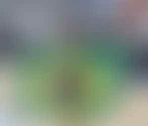 Taubateano conquista medalha de ouro em El Salvador