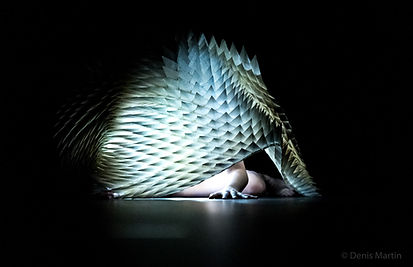 Habitat, Petrikor Danse — © Denis Martin