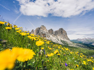 The 7 Best Multiday Hut-to-Hut Hikes in the Italian Dolomites and how to choose the right one