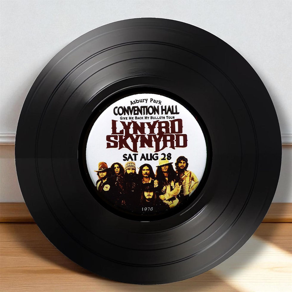 Thumbnail: Lynyrd Skynyrd Round Record Coasters Retro Decor