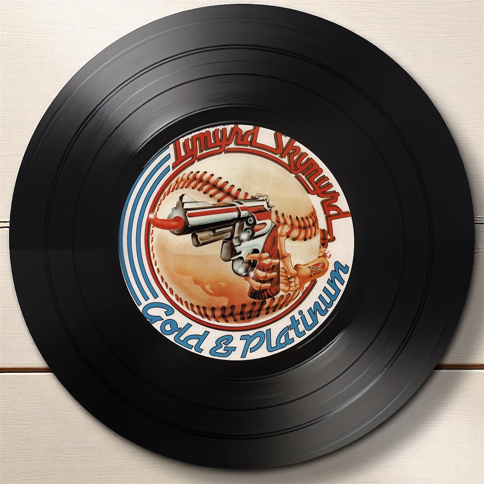 Thumbnail: Lynyrd Skynyrd Round Record Coasters Retro Decor