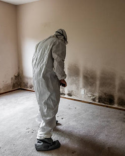 mold.jpg