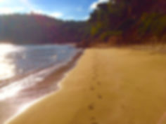 Foot prints on a sand beach