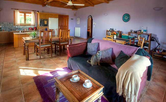 Open plan large living area, kitchen, living and dining.