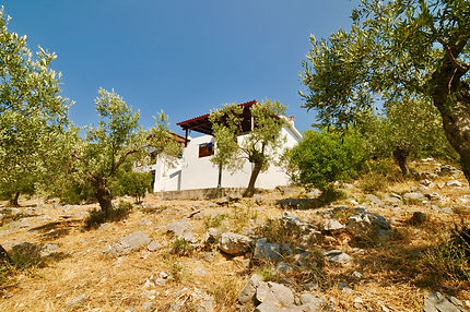 House from garden 2