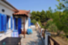 Large, Alonissos veranda, tree behind