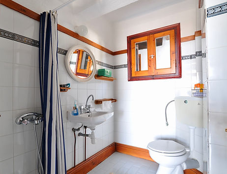 Downstairs wetroom.