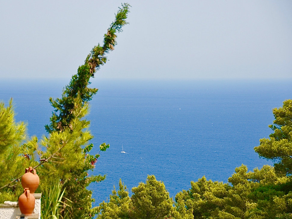 Stunning sea view with tree in foreground