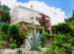 Olive Grove Villa in Alonissos from garden