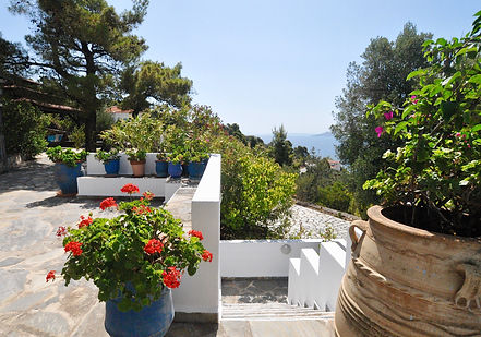 Entrance steps