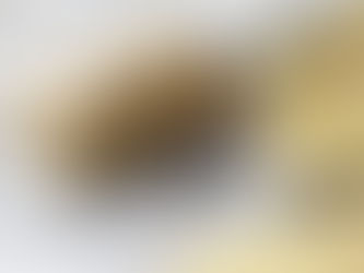 The Essential Eight Explained for Australian Small Business