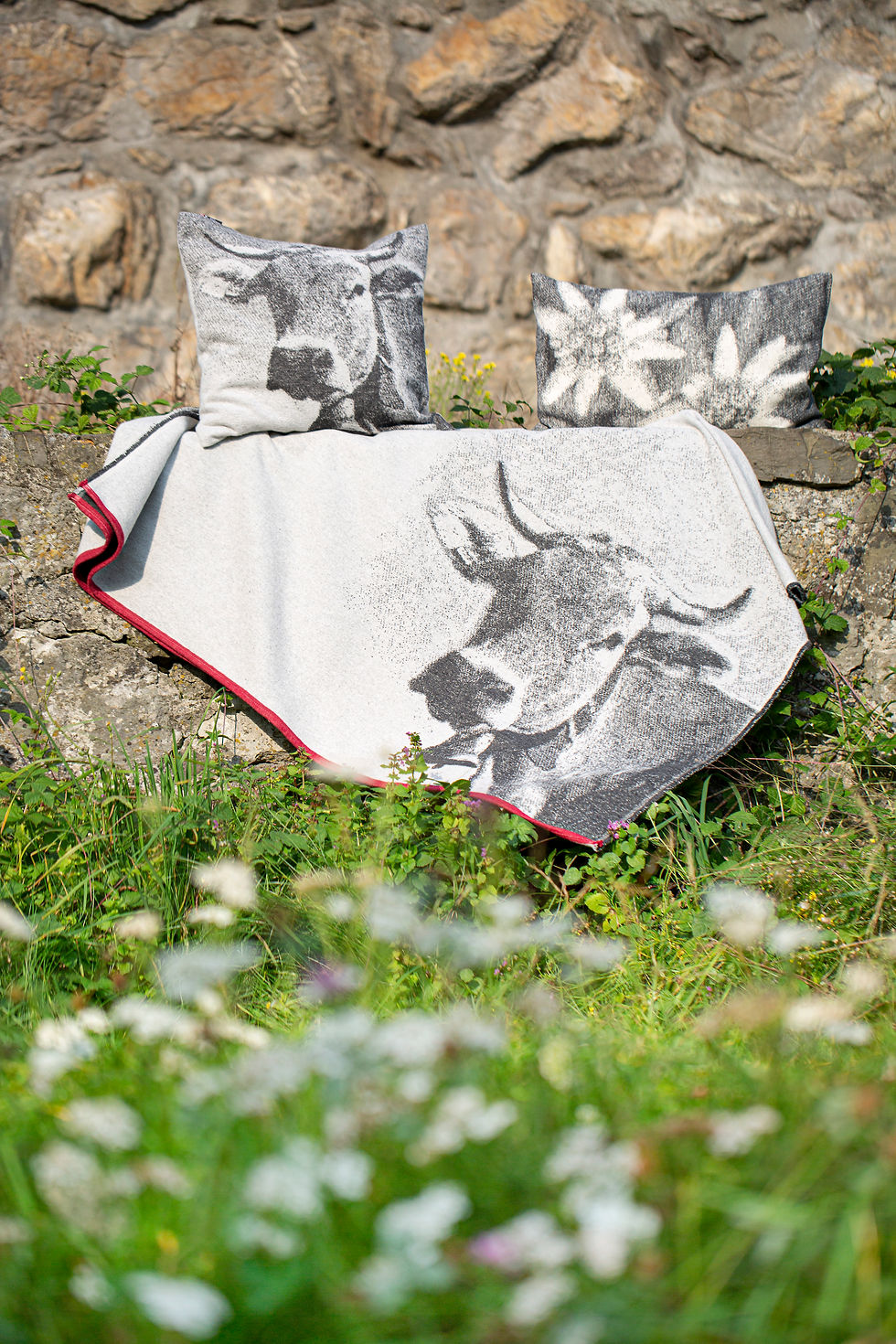 Stimmungsbild von Baumwolldecke mit Kuhmotiv Kuh, Edelsweisskissen und Kuhkissen (Davis Fussenegger)