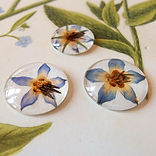 Glascabochons mit echten Borretschblüten in verschiedenen Grössen