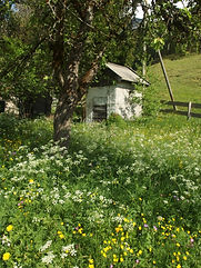 P5216338.JPG