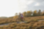 male-mountain-biker-biking-down-moorland-track-2024-06-27-04-50-30-utc.jpg