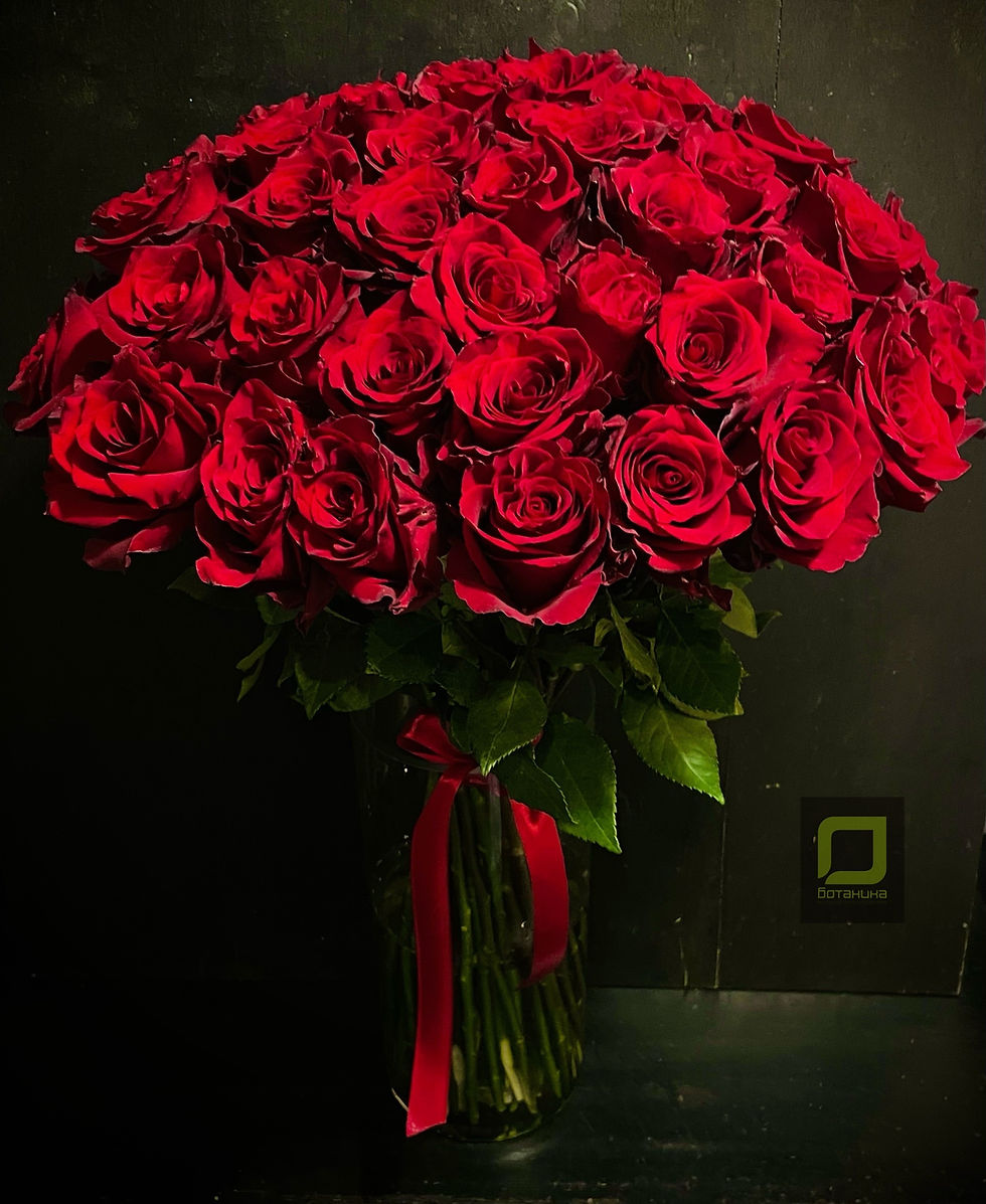 51 роза, купить розы в спб с доставкой, доставка цветов спб, ботаника