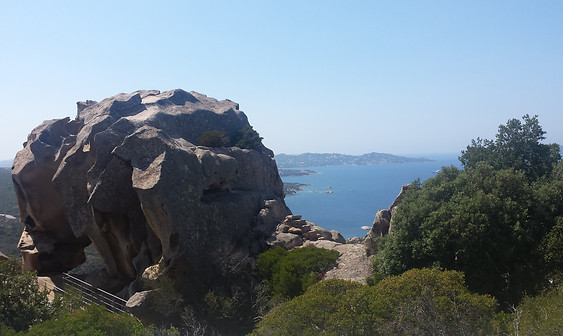 20150714_154553.jpg