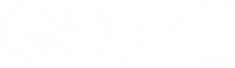 TNT Logo.png