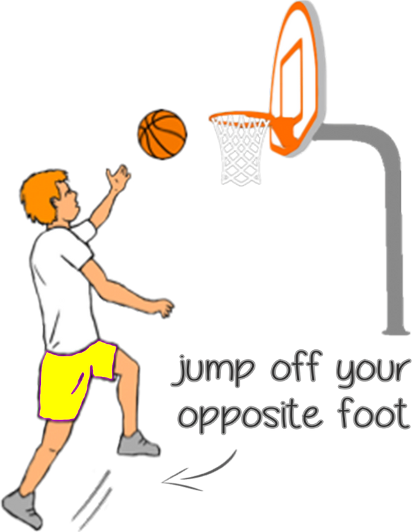 Grade 3 6 Basketball Skills