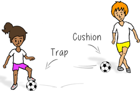 Prime coaching sport, pe physcial education grade 1 kindergarten sport teaching lesson plans how to