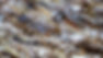 Owl pen feathers Catrin Haze AustiStock-893426904ORIGINAL.jpg