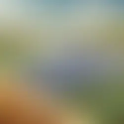 Erfolgsfaktoren im Stakeholdermanagement für Agri-Photovoltaik-Projekte