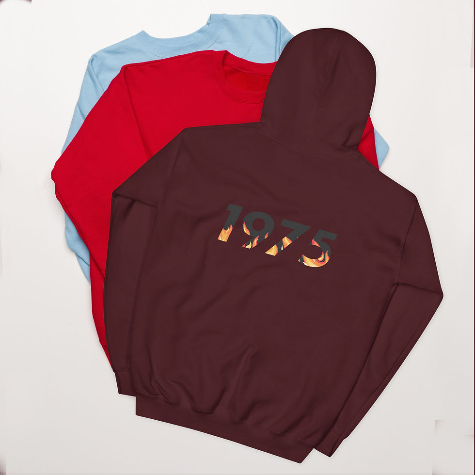Miniatura: AGNB (1975 Fire) Unisex Hoodie