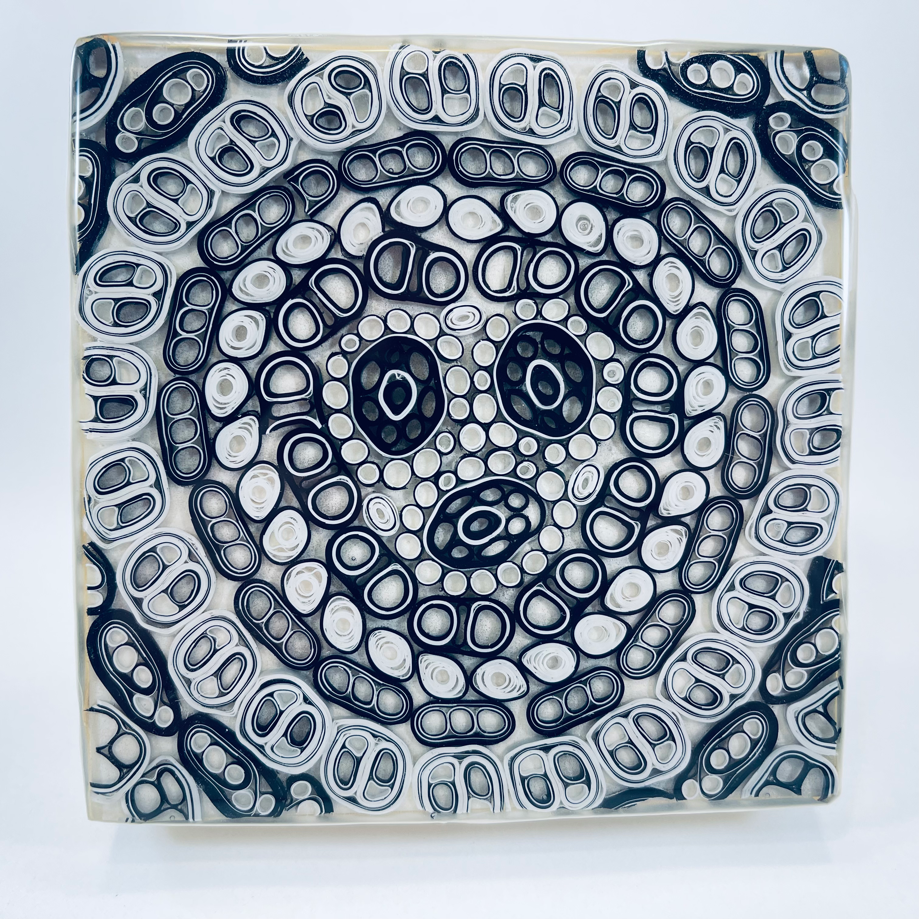 Black and White Panel #51