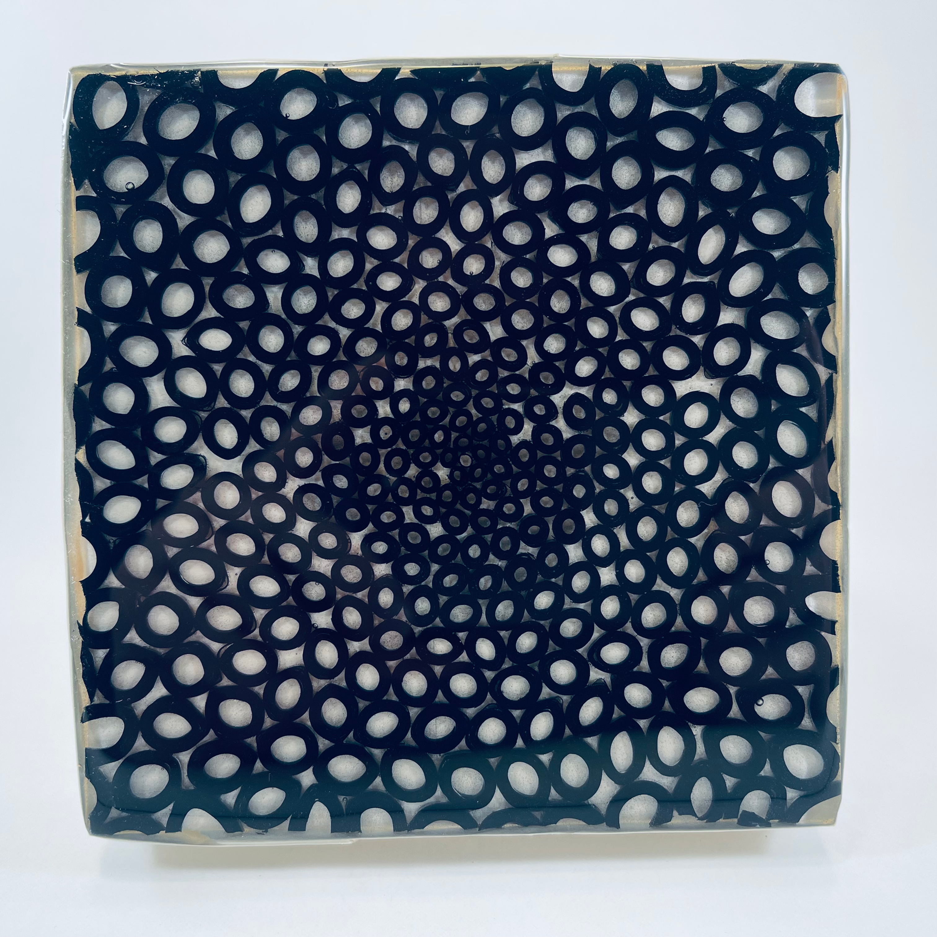 Black and White Panel #45