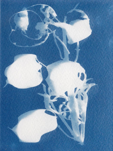 monnaie-dupape-tierce.jpg