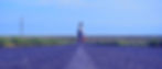 Walking Down Empty Road_edited_edited_edited.jpg