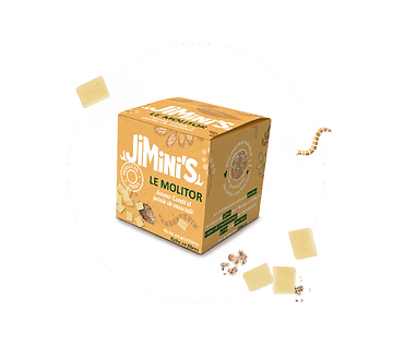 insectes comestibles jiminis molitor comté muscade