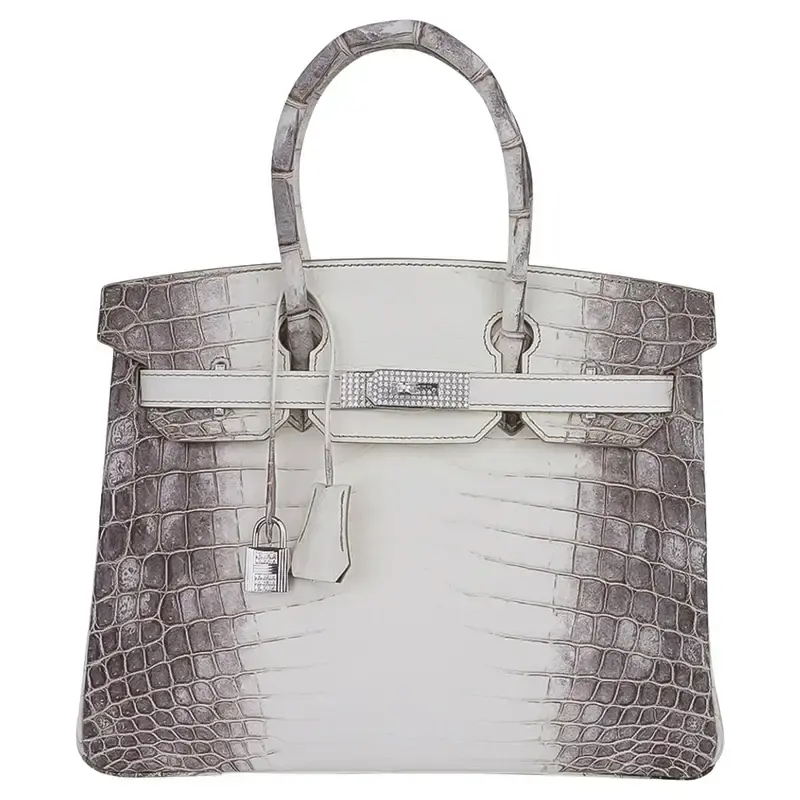 Hermes Birkin 30 Bag Diamond Himalaya Blanc Crocodile White Gold Hardware