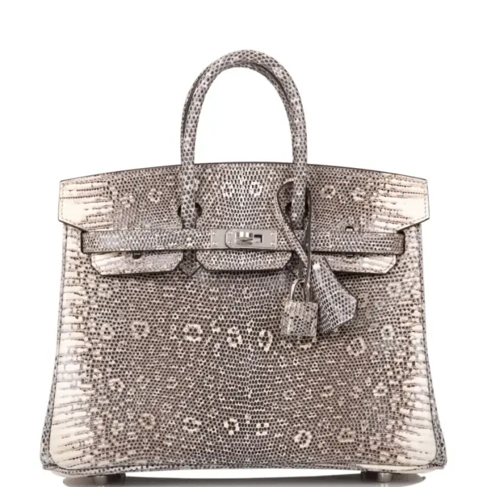 Birkin Lizard Ombré: An Elegant Collectable