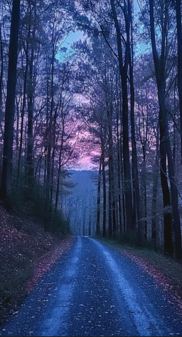 Then vs Now: my thoughts on Twilight