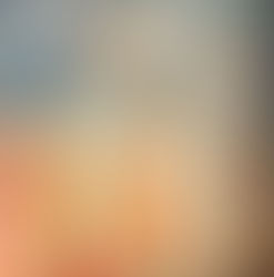 The Presentation of the Child Jesus in the Temple