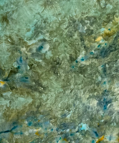 Celadon Dharma