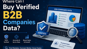 Where can I buy verified B2B companies data