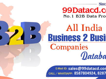 B2B Data Provider