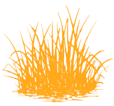 hoja.png