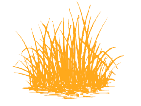 hoja.png