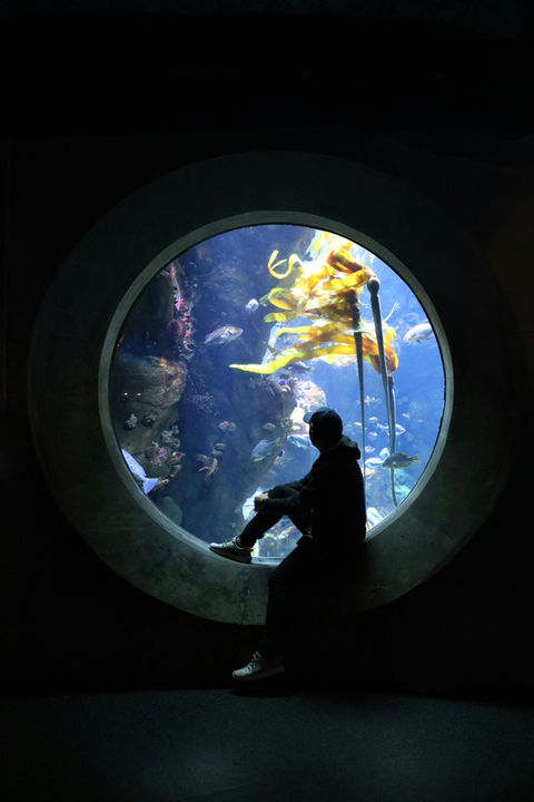 A man sitting in front of a round glass aquarium opening viewing into a seaweed farm. Here they grow algae for marine-based biopolymers that support circular textiles and products.