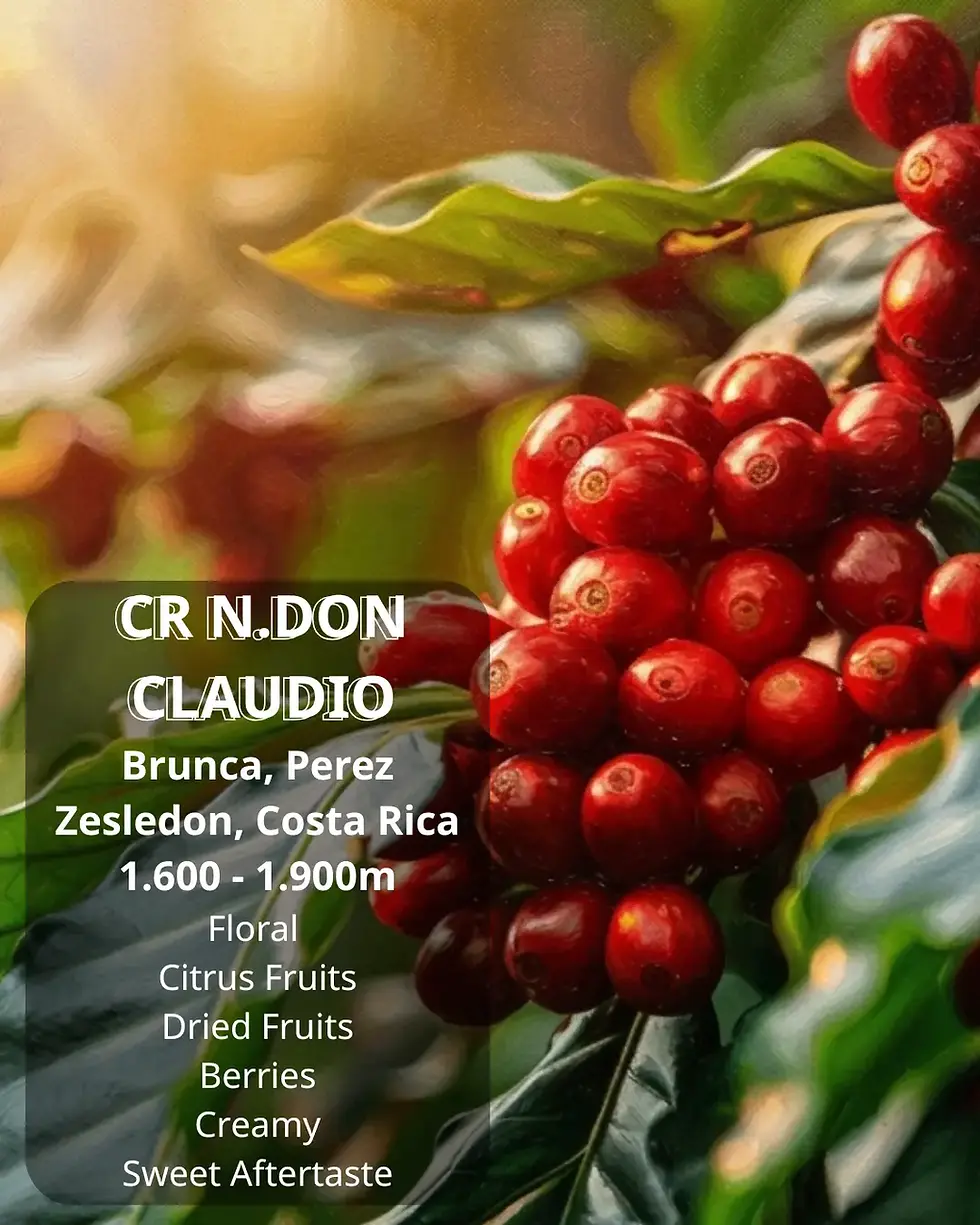 CR N. Don Claudio – Hương Vị Từ Tinh Thần Đoàn Kết Của Costa Rica