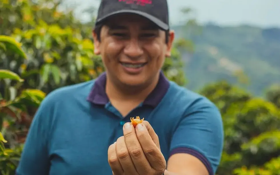 Chương 6: Col. Pink Bourbon Mango – Khi Vị Ngọt Trở Nên Sống Động