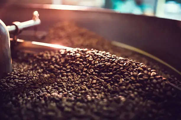 Khi Nhiệt Độ Dần Lắng Xuống