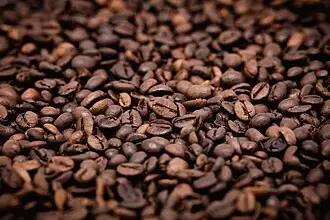 Sự Cân Bằng Giữa Các Tầng Vị