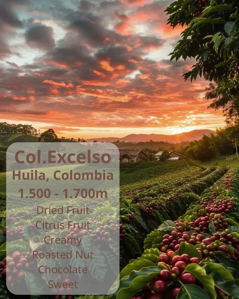 Chương 20: Colombia Excelso