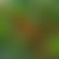 Chương 3: Giống Cà Phê Không Dễ Chinh Phục