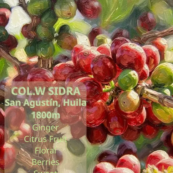 Phần II-Chương 6: Col. W Sidra – Bản Hòa Sắc Của Những Khoảng Lặng Thuần Khiết